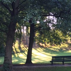 Parc Josaphat